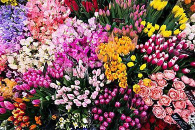 《怪物猎人：物语》新预告 6月14日发售